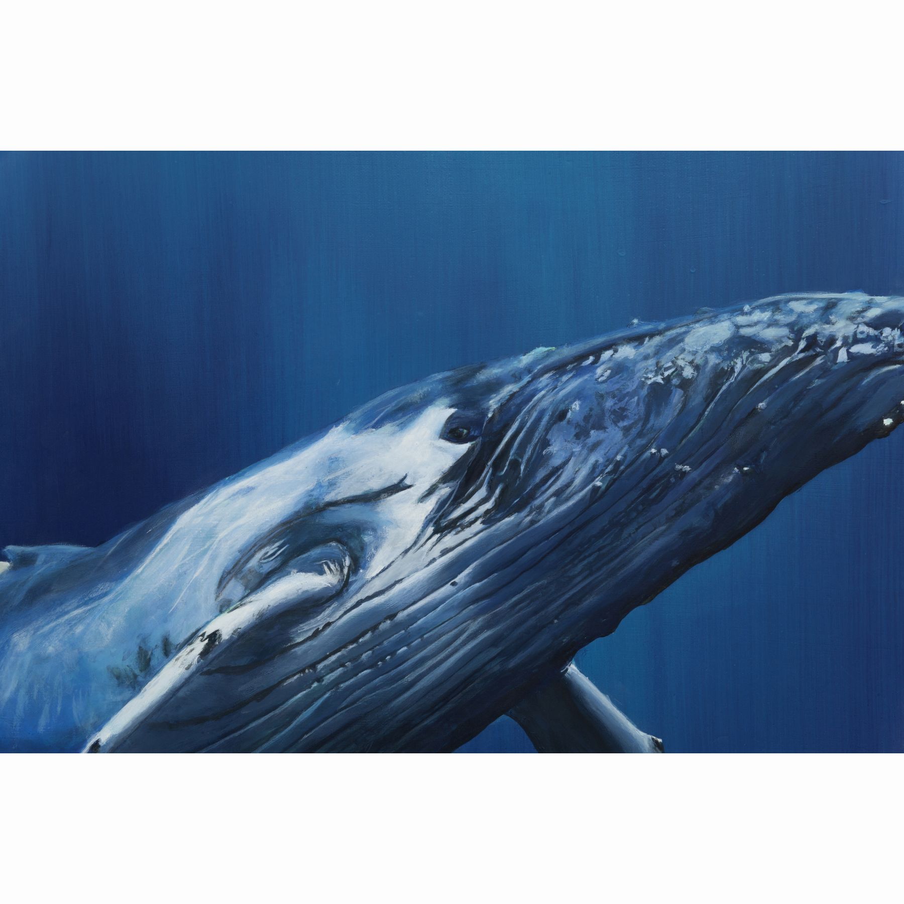 Whale Maki