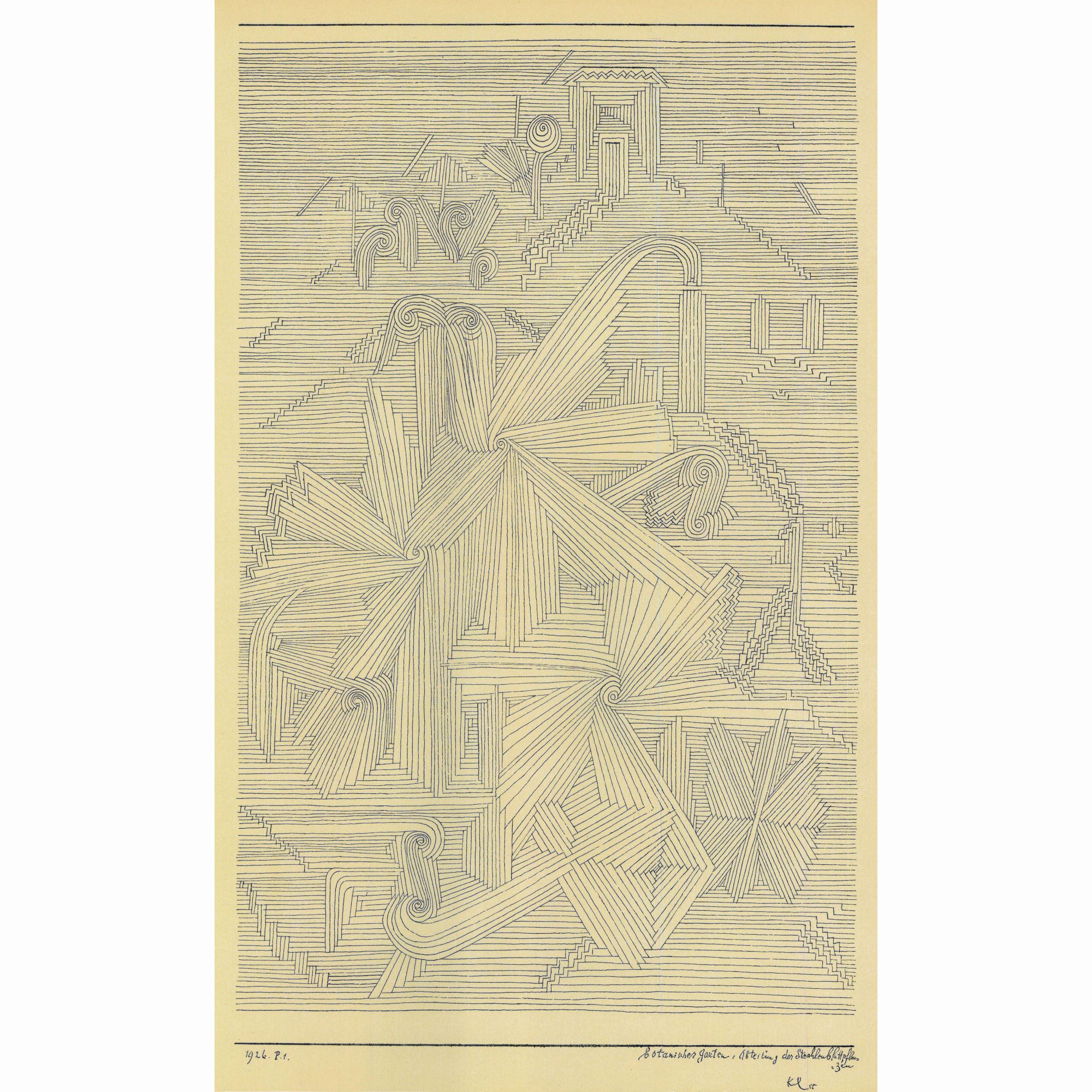 Botanischer Garten, Abteilung der Strahlenblattpflanzen (	Botanical garden, section with the ray-leaved plants)