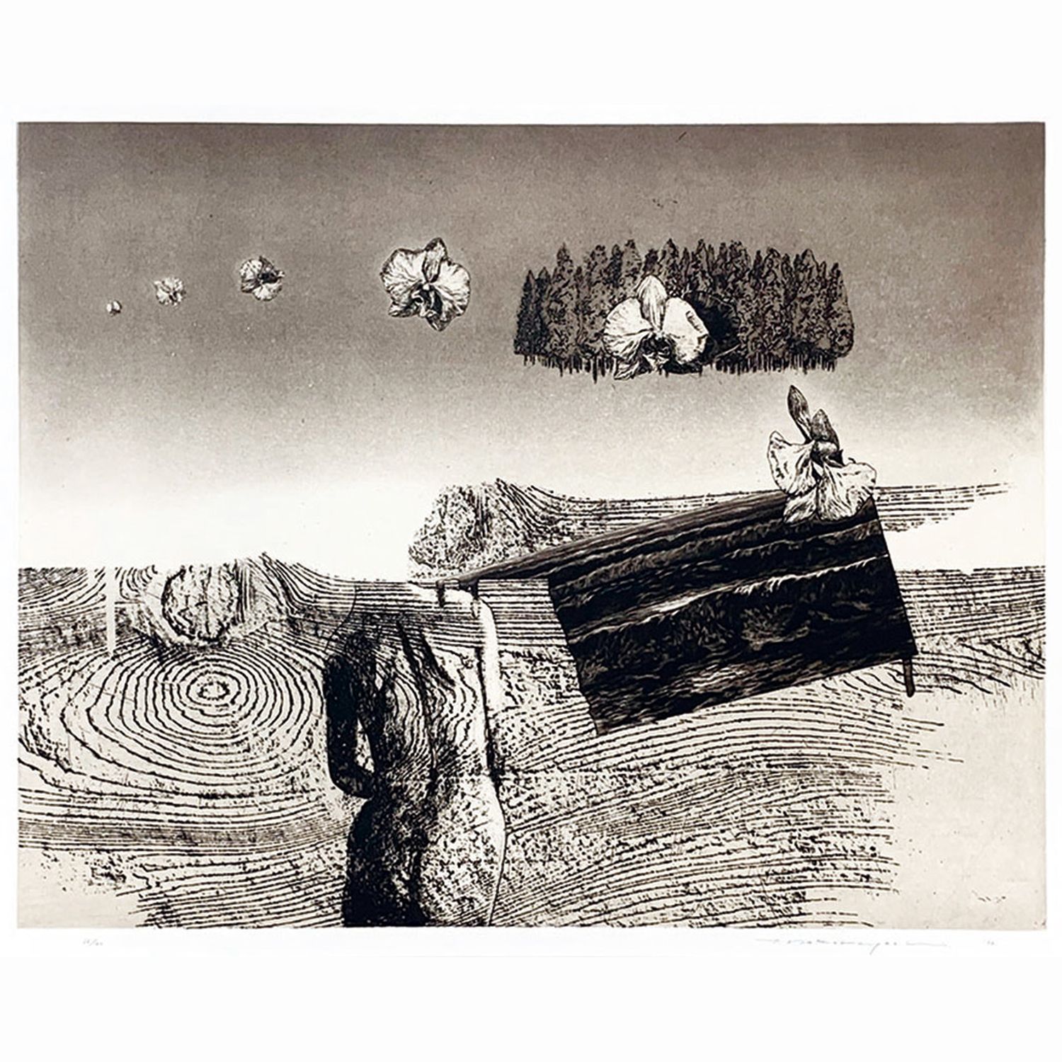 Separated Landscape II