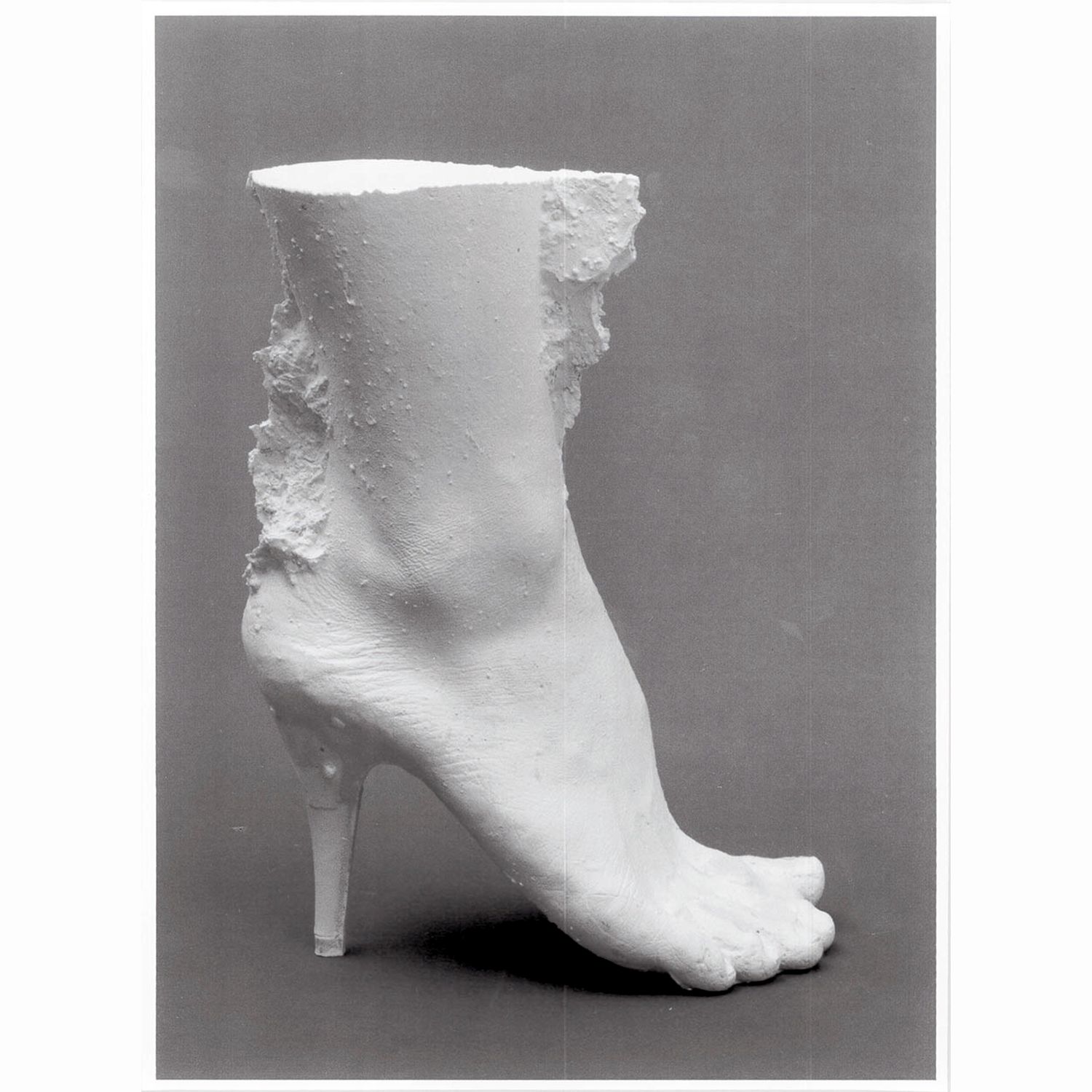 Lower Leg (PlasterA)