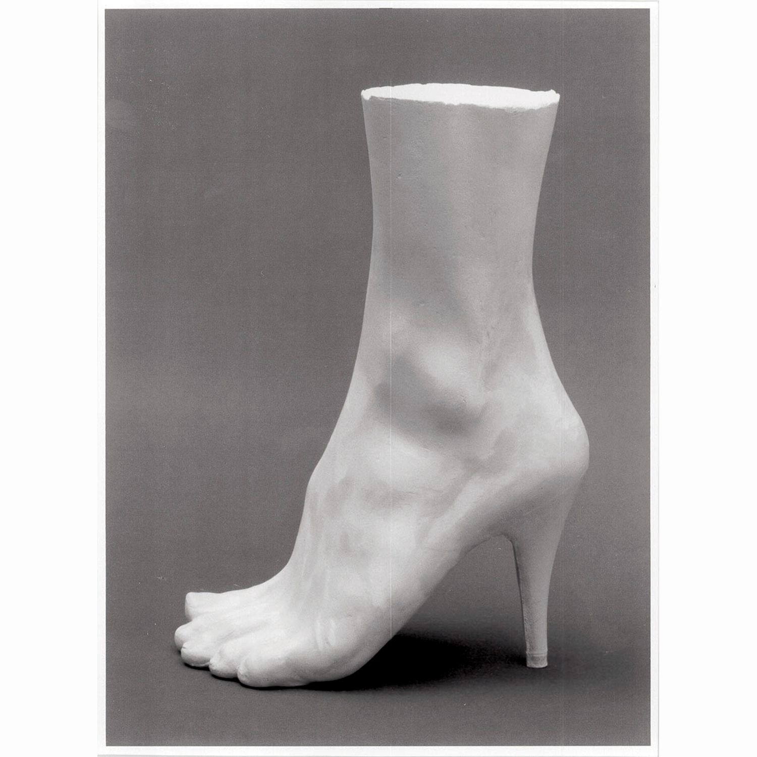 Lower Leg (PlasterB)