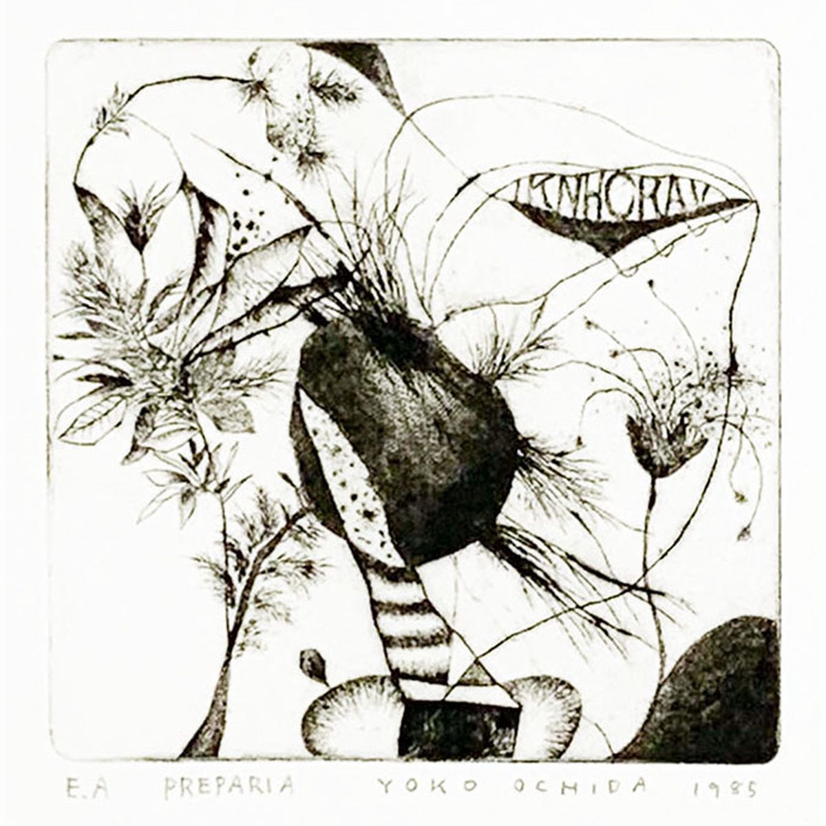 Preparia