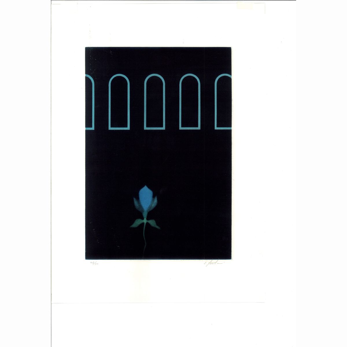 (IN THE NIGHT) Blue Flower