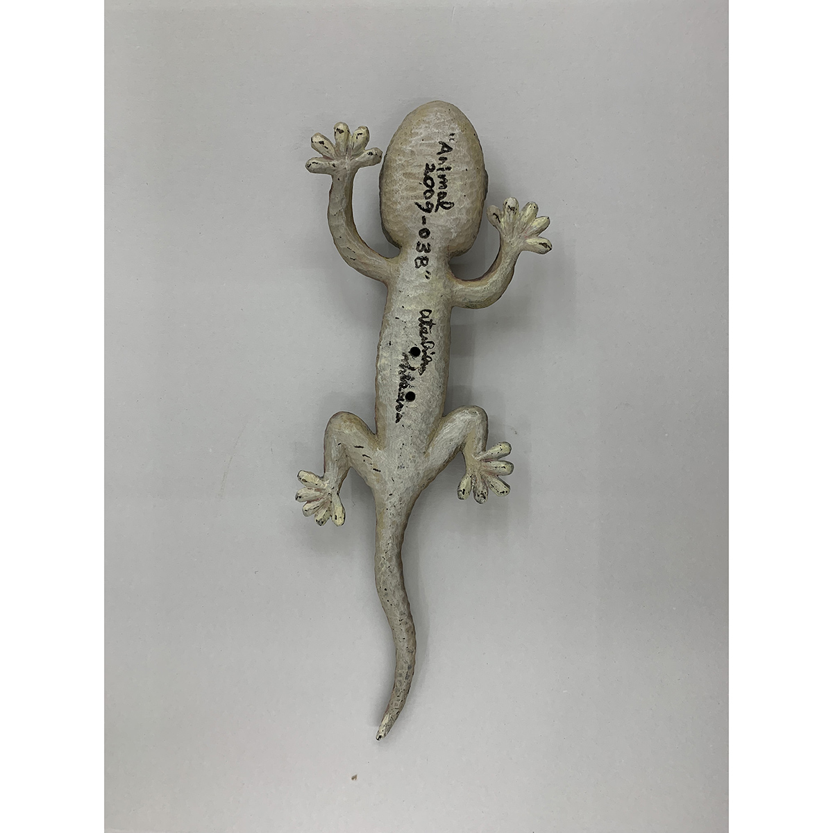 Animal 2009-03B