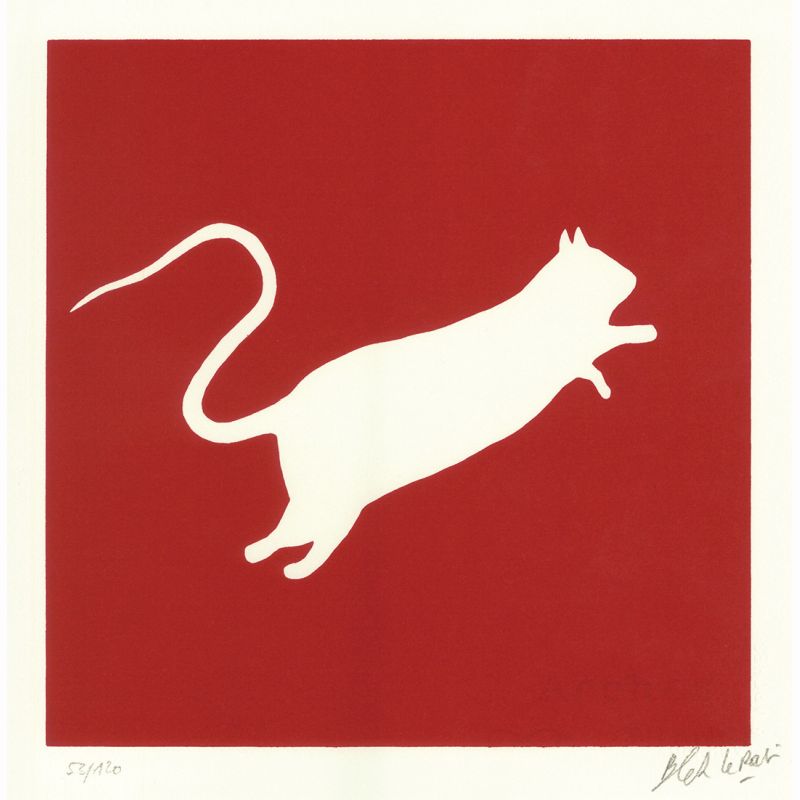 WHITE RAT ON RED
