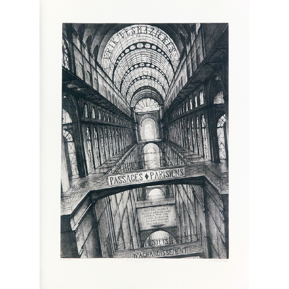 【挿画本】パリのパサージュ