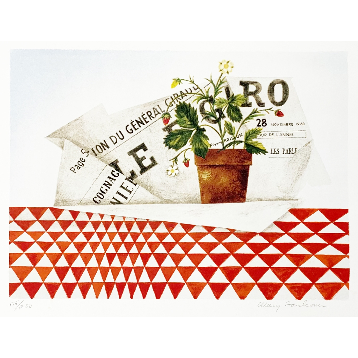 Strawberry Plant And Figaro