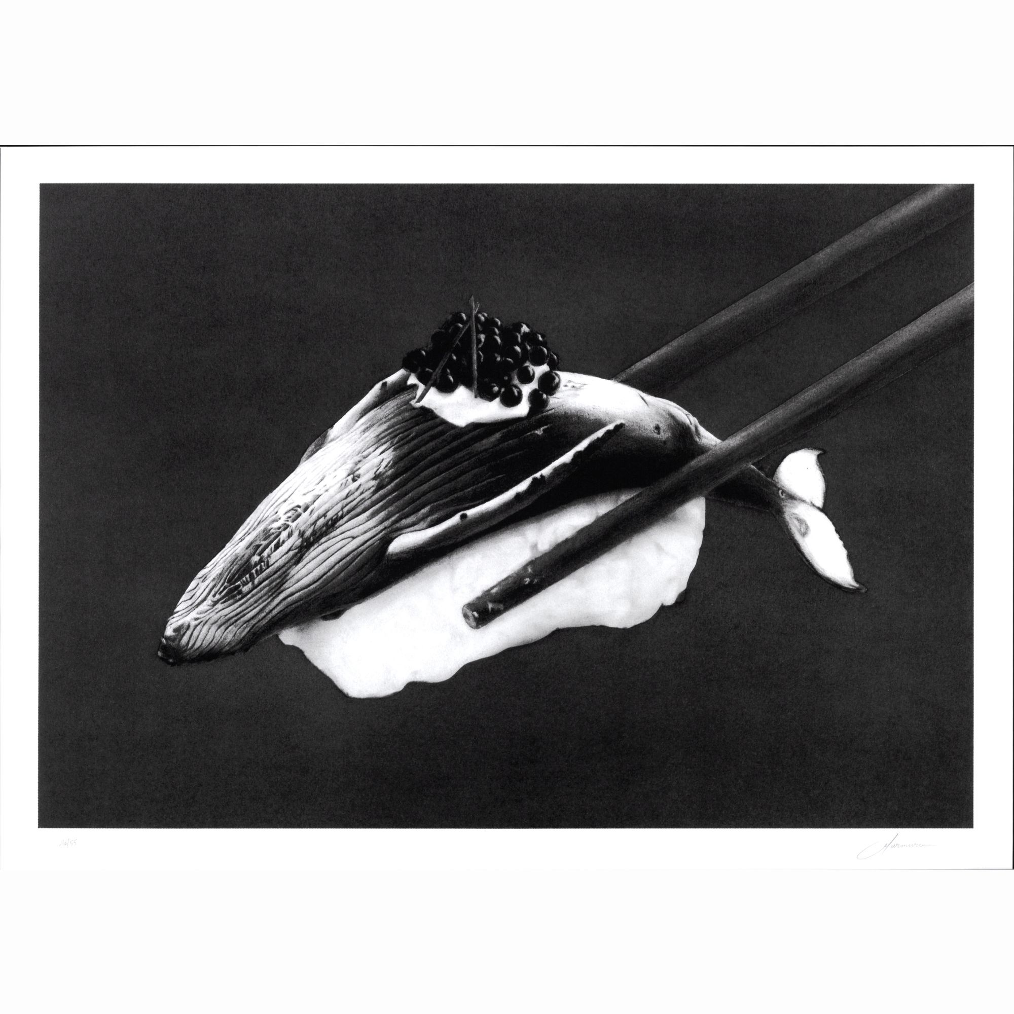 Whale Sushi(クジラ寿司)