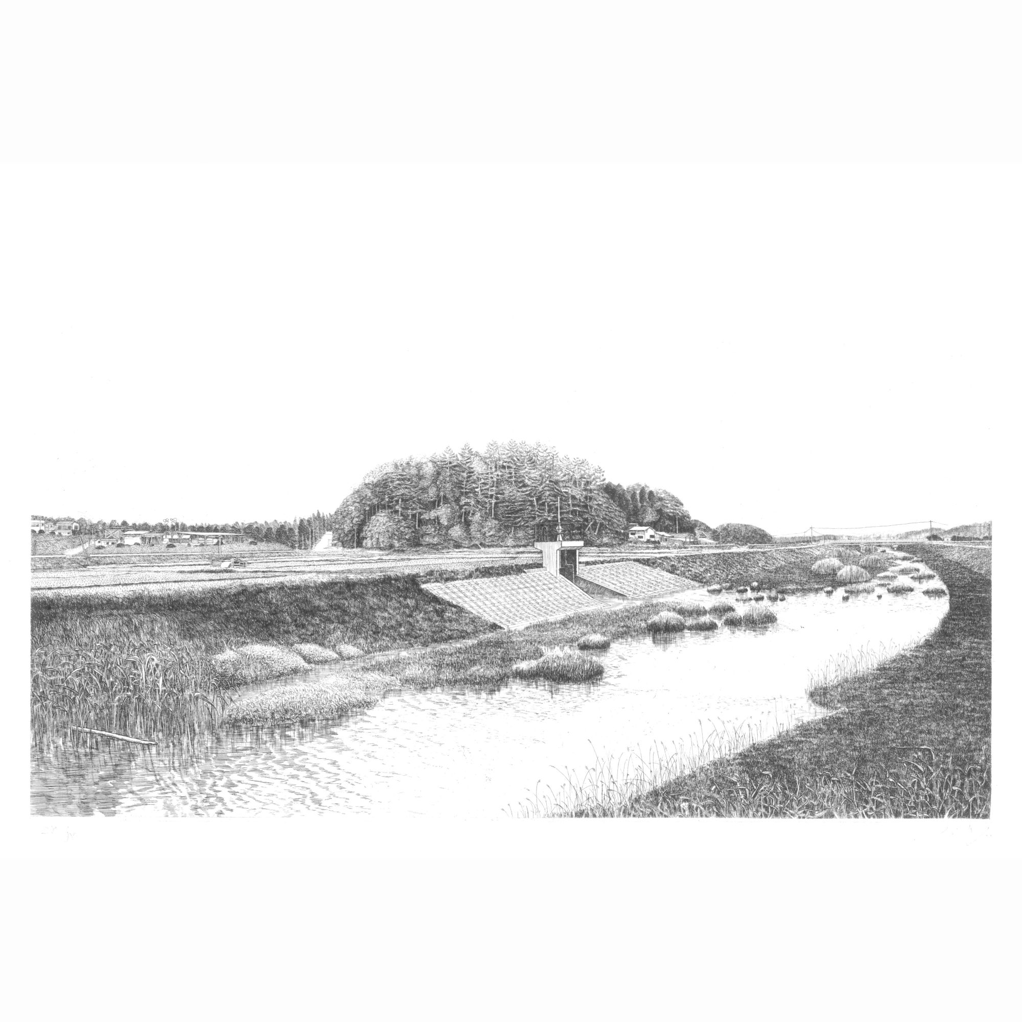 小野川の春
