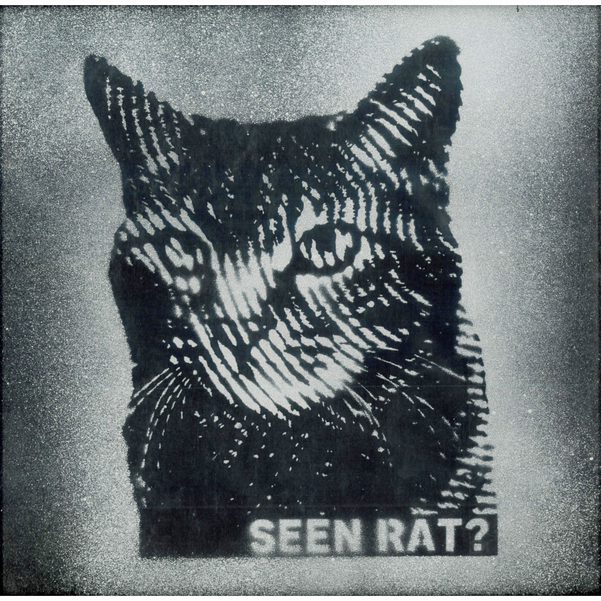 Seen Rat (black)?