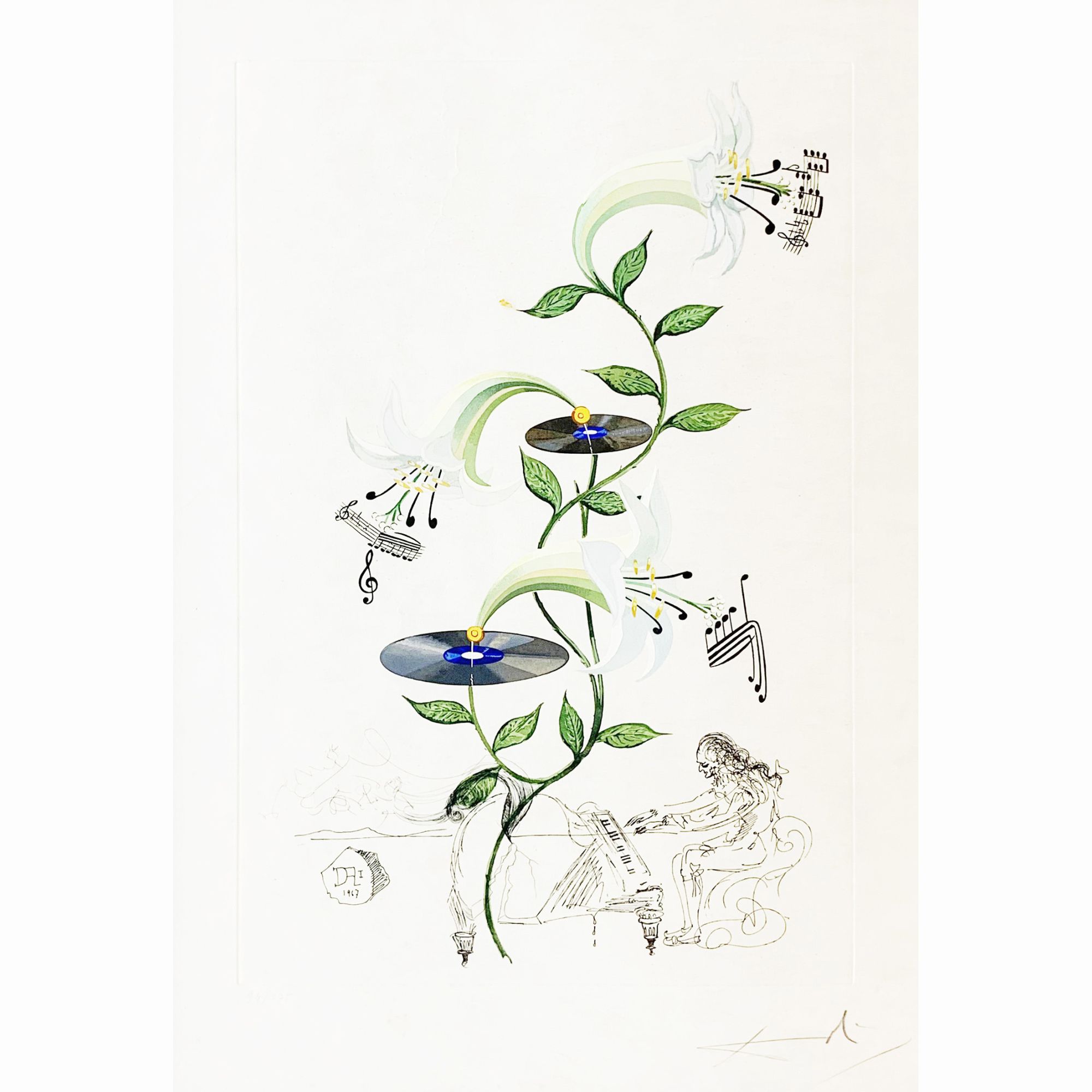 (ダリの花)百合