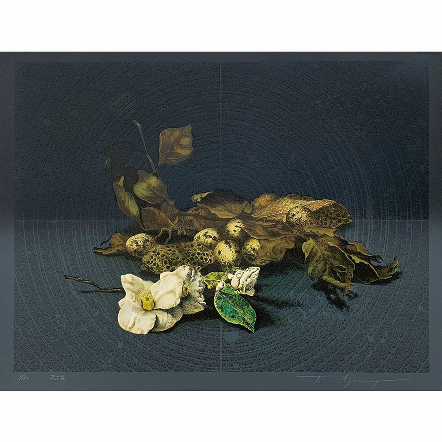 (本)言葉のまなざし(東谷武美・中林忠良)