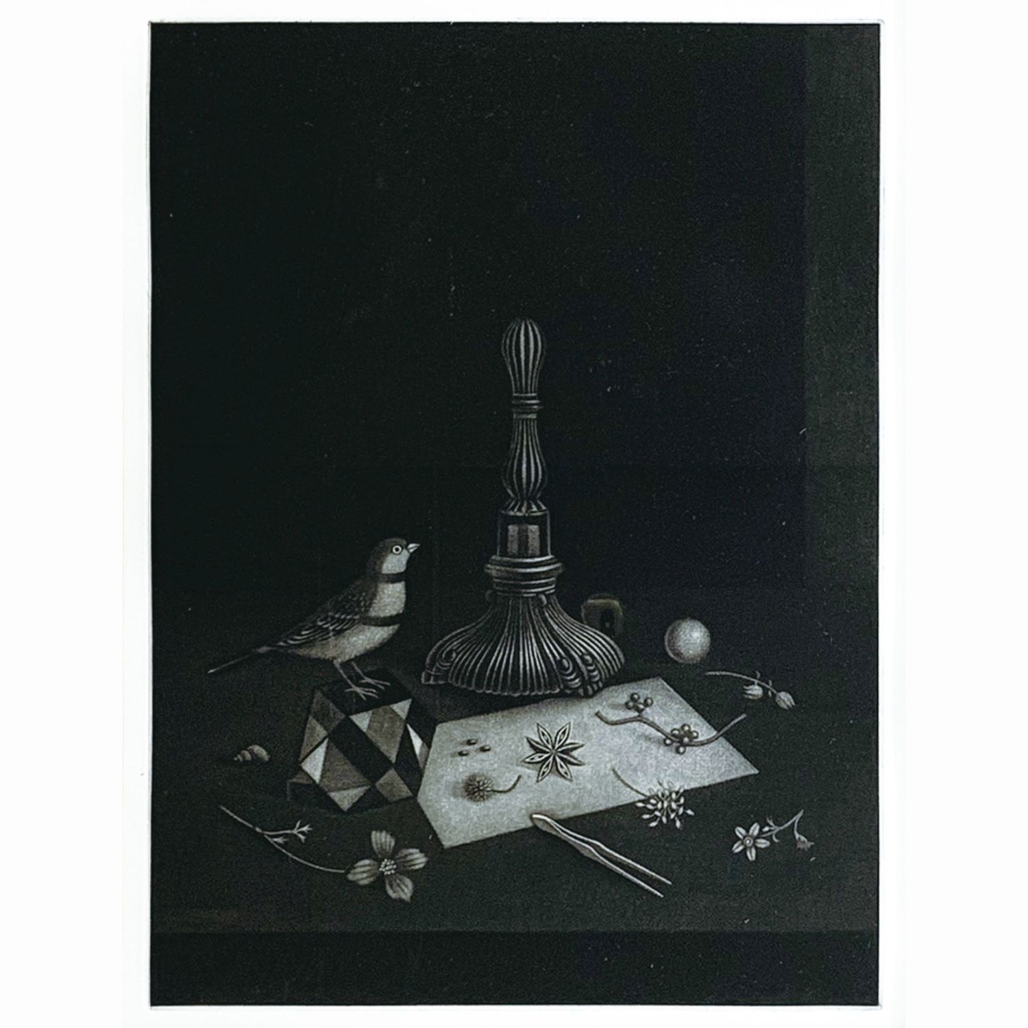 飼い馴らされた小鳥