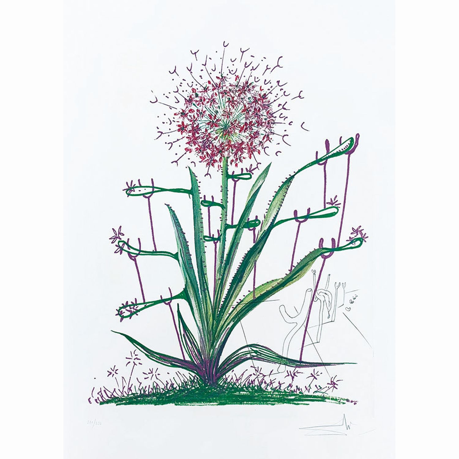 (シュルレアリスティックな花)アリウム