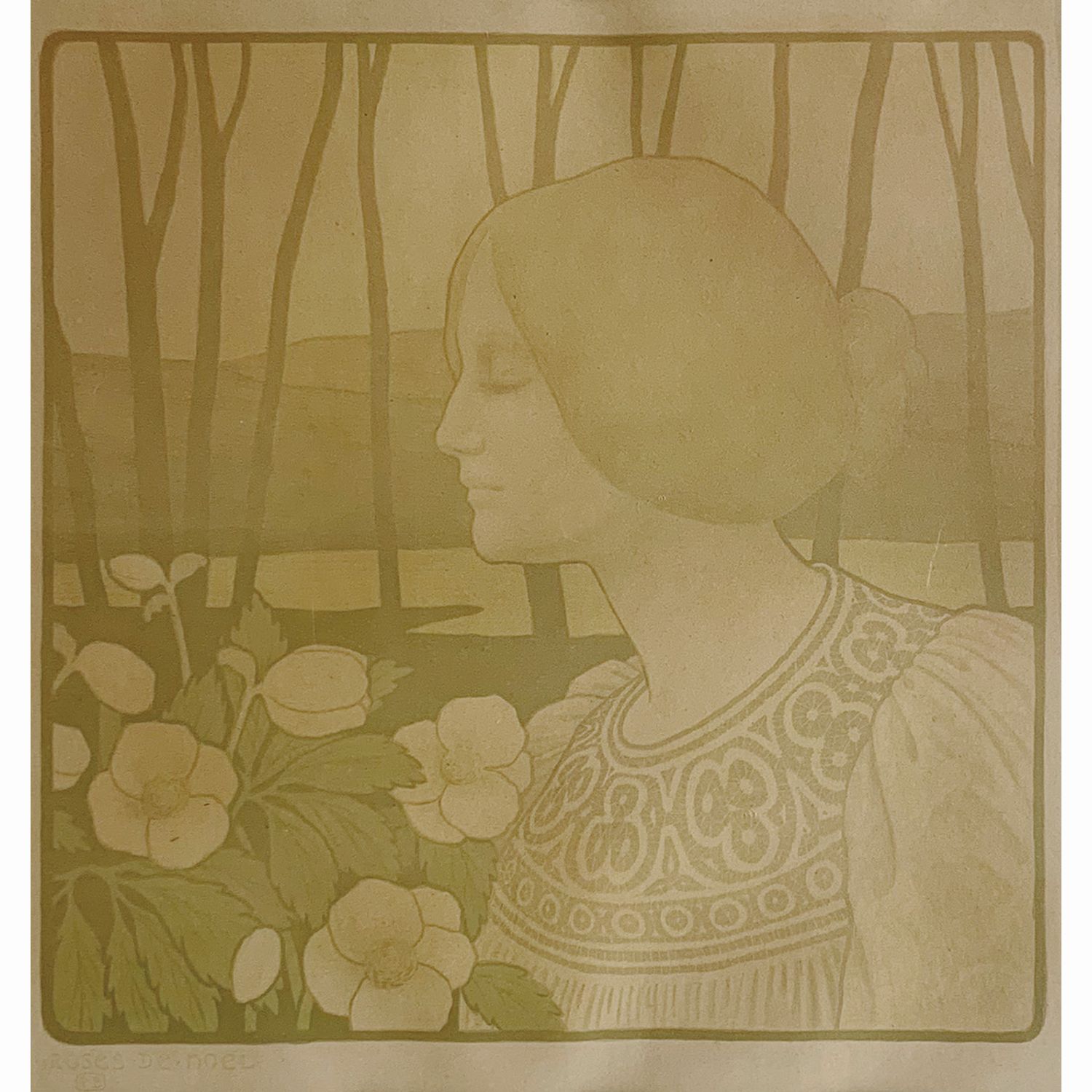 クリスマスの薔薇