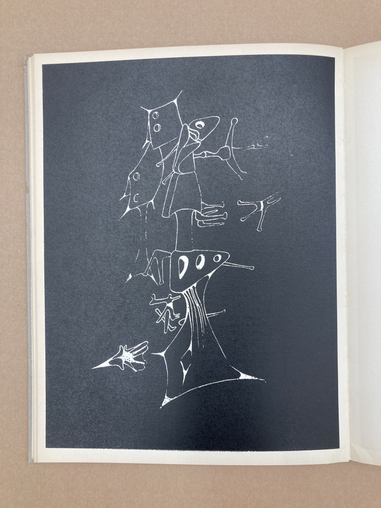 【本】タンギー