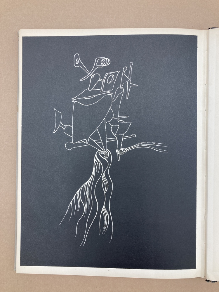 【本】タンギー