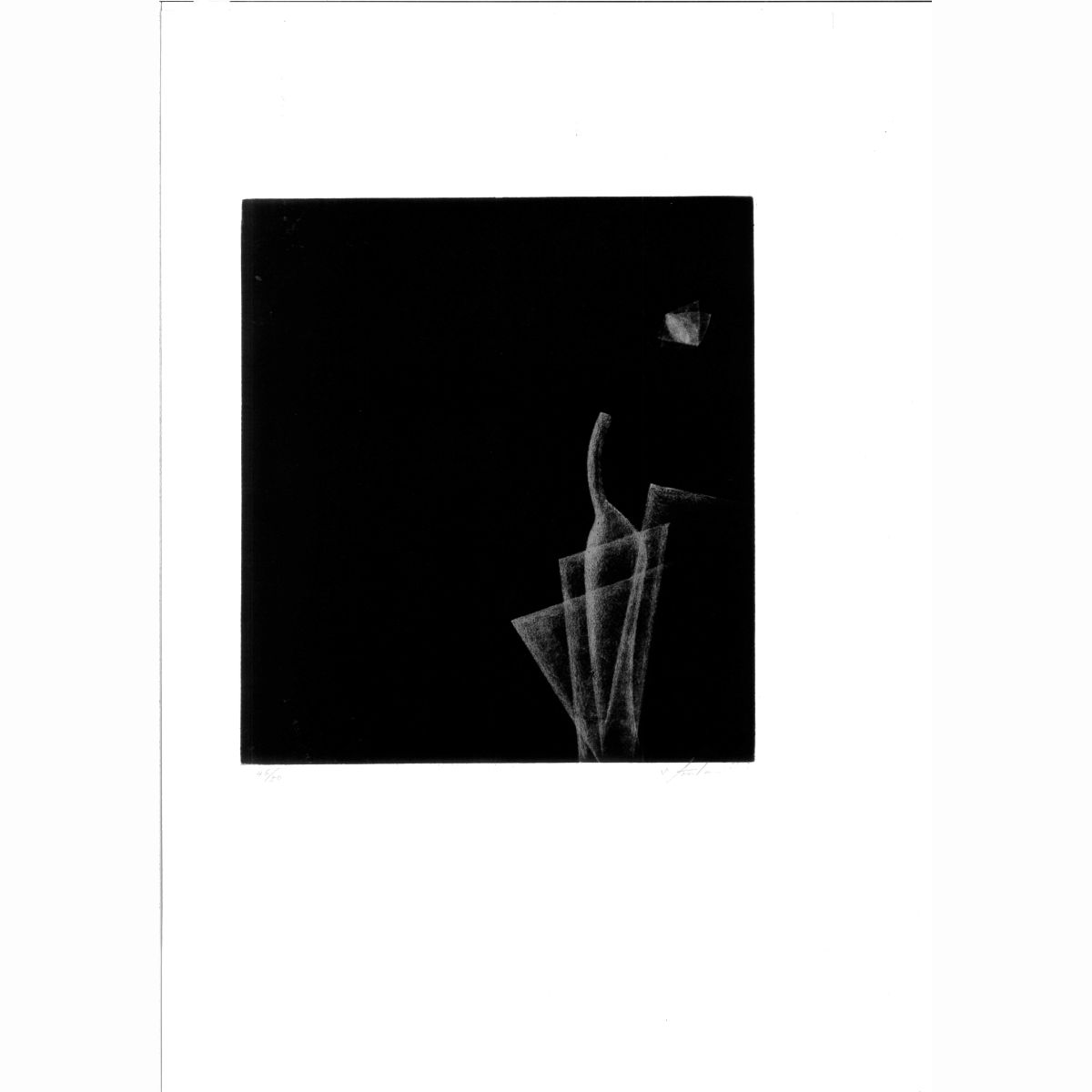 (IN THE NIGHT)豊潤な闇の中から